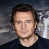 Liam Neeson Bintangi Film Aksi-Komedi The Revenger